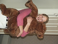 Click to enlarge (72345 bytes)